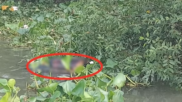 Đi giăng lưới, phát hiện thi thể nam giới nổi trên sông Tiền