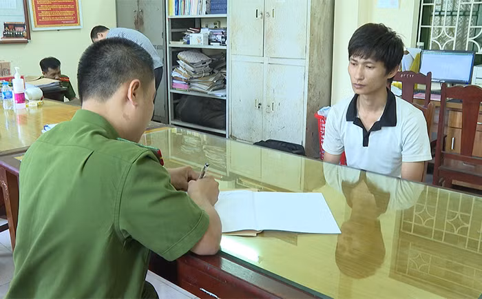Phát hiện 900 cây cần sa trồng trái phép -0