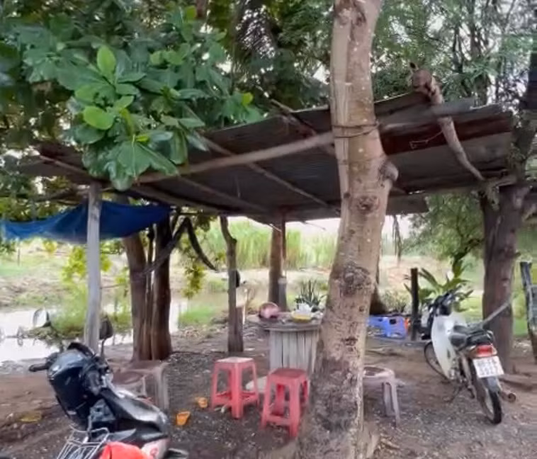 Đang ngồi uống trà, một người bị sét đánh tử vong -0