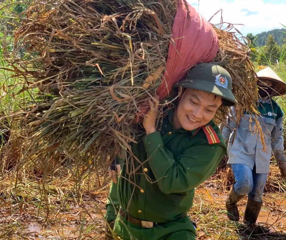 Công an xã ra quân, giúp dân thu hoạch lúa ngã đổ, ngập úng do bão -0
