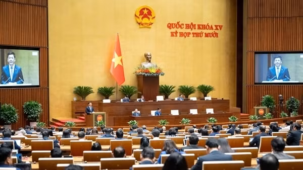 Người livestream bán hàng không được cung cấp thông tin gian dối hoặc gây nhầm lẫn