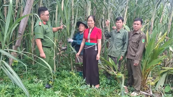 Ba_Tong_Thi_Phach_Muong_Te-1762000946018.jpg