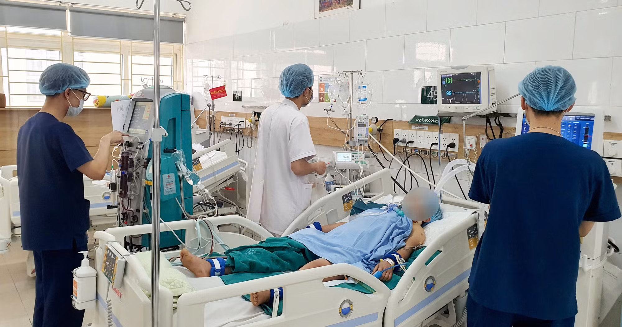Hai vợ chồng hôn mê sâu do ăn nấm rừng -0