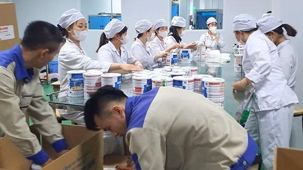 Gần 600 loại sữa bột bị làm giả: Những nguy hại khó lường với người sử dụng
