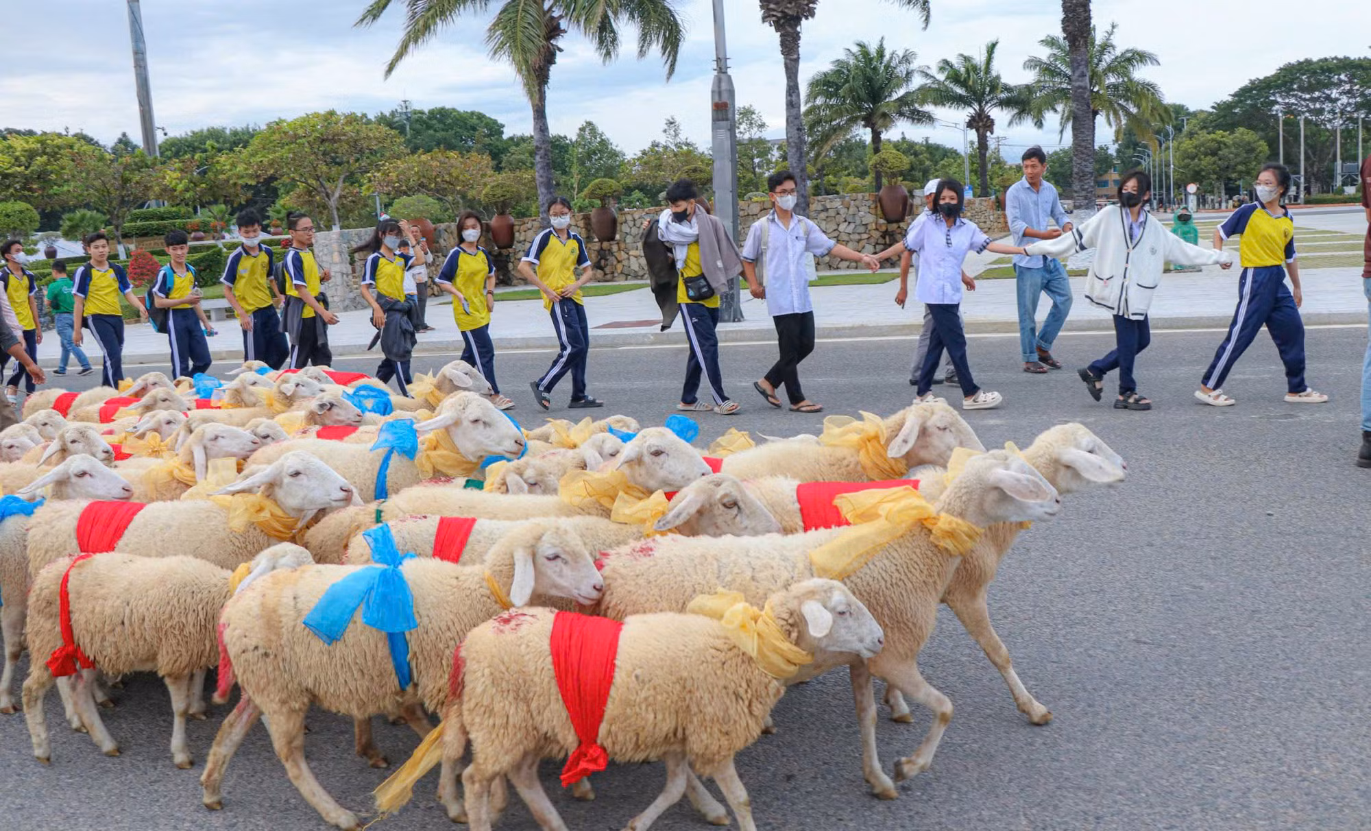 Du khách sẽ trải nghiệm khinh khí cầu tại Tuần Văn hóa Thể thao Du lịch và Ẩm thực Ninh Thuận -0