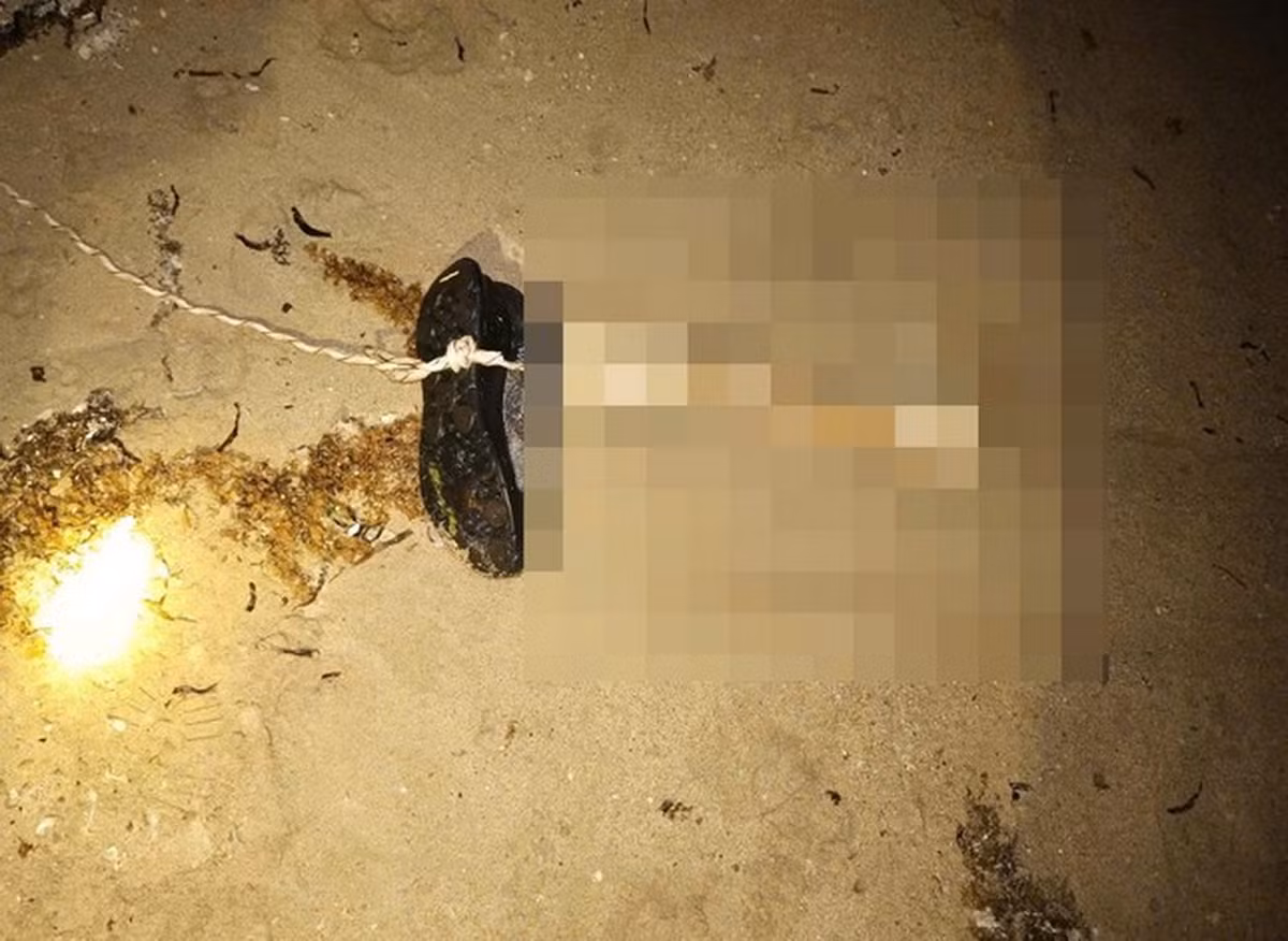  Một đoạn xương chân người có mang giày trôi vào bãi biển -0