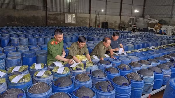 Khởi tố, bắt tạm giam 4 đối tượng sản xuất 3.500 tấn giá đỗ ngâm hóa chất