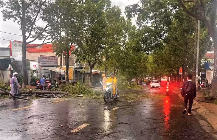 Cổng chào đổ sập trong cơn mưa giông ở Đắk Nông -0