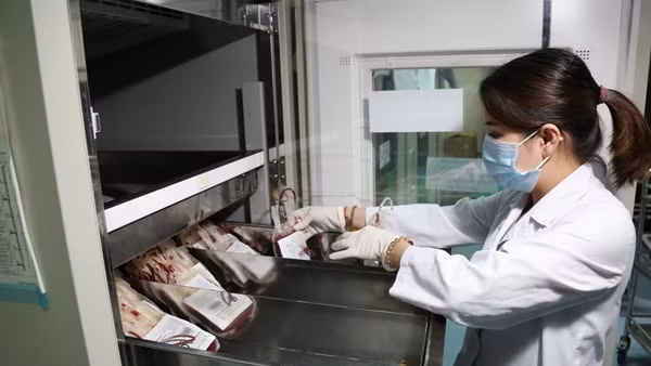 Tình trạng thiếu máu điều trị lại gia tăng