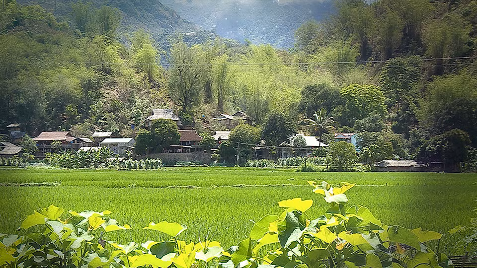 Sơn nữ và cạm bẫy từ 