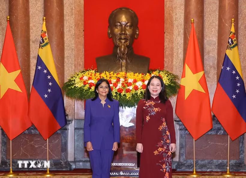 Phó Chủ tịch nước Võ Thị Ánh Xuân hội đàm với Phó Tổng thống Venezuela​ -0