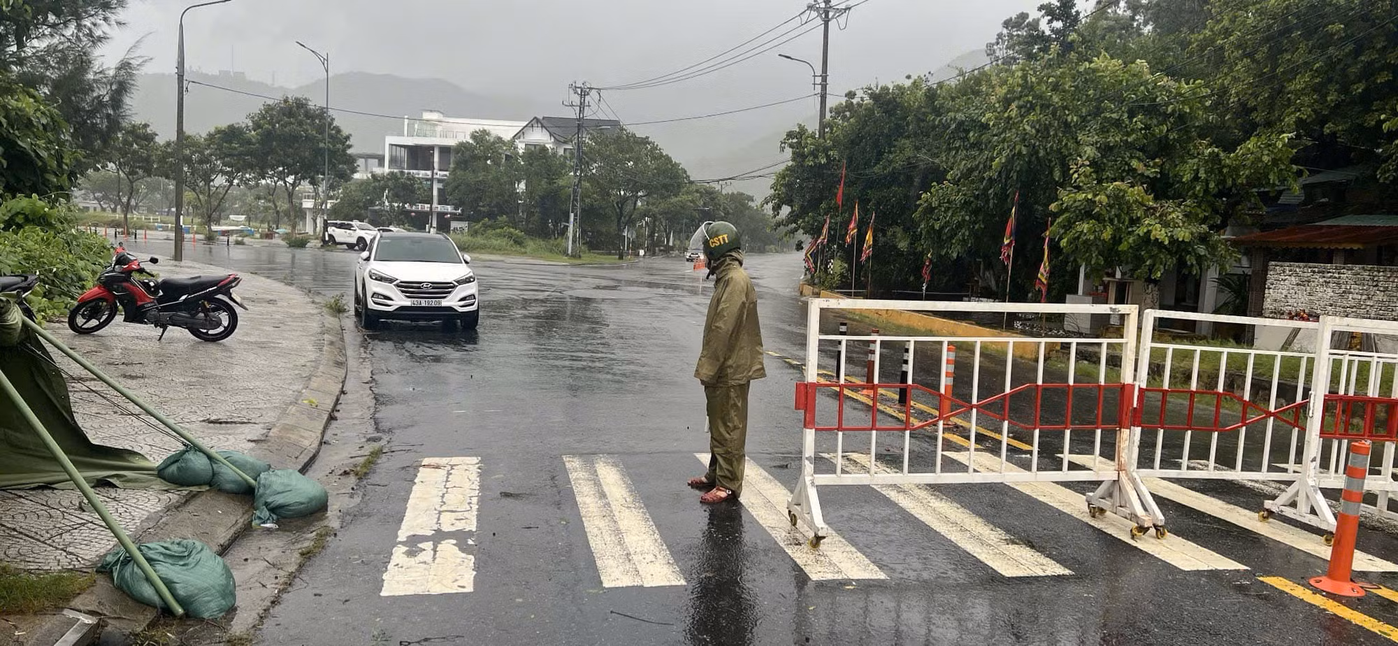 Bão số 6 áp sát, cây xanh bật gốc ngã đổ ngổn ngang -0