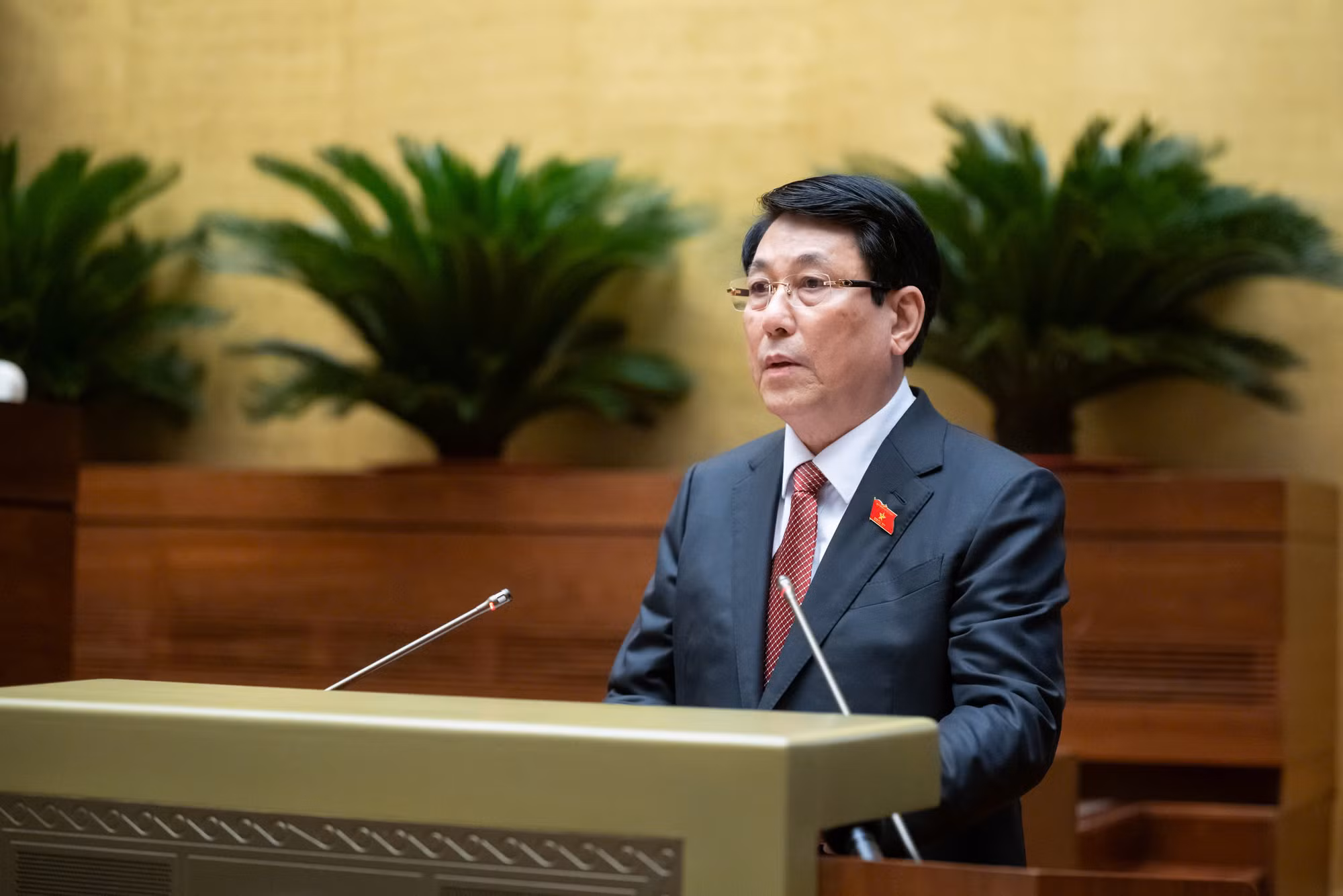 Chủ tịch nước Lương Cương nguyện cùng toàn Đảng, toàn dân, toàn quân phát huy sức mạnh đại đoàn kết toàn dân tộc -0