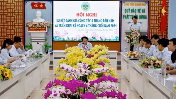 Nâng cao hiệu quả hoạt động của Quỹ bảo vệ và phát triển rừng Quảng Nam