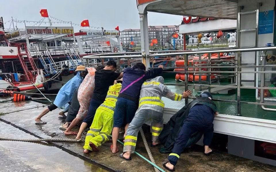 Hàng chục ngôi nhà tốc mái, gần 1000 cây xanh bị ngã, đổ do bão Trà Mi -0