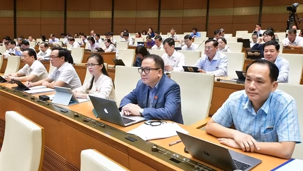 Ngăn chặn hành vi mua bán người từ khi còn là bào thai trong bụng mẹ