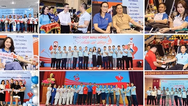Đoàn Thanh niên VietinBank tổ chức thành công Chương trình hiến máu tình nguyện năm 2024