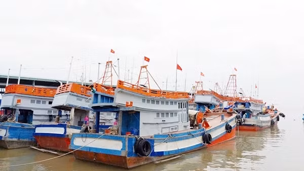 Sóc Trăng tăng cường tuyên truyền tháo gỡ cảnh báo thẻ vàng IUU