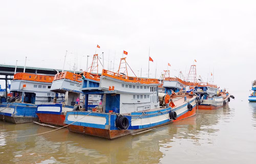 tangcuong 1.jpg -0