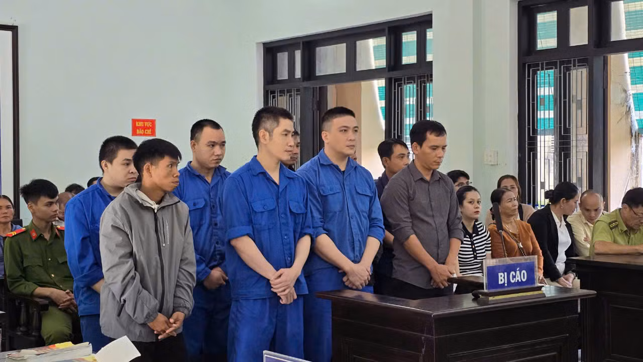 Cán bộ kiểm lâm gắn biển số giả để mua bán, vận chuyển gỗ trái phép -0