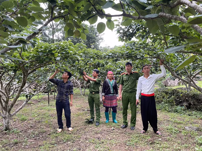 Nhiều hoạt động giao lưu văn hóa Việt - Trung trong Tuần Du lịch - Văn hóa Lai Châu năm 2024 -0