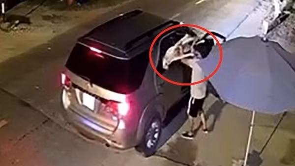 Cẩu tặc dùng súng điện chạy xe hơi tái xuất ảnh 3