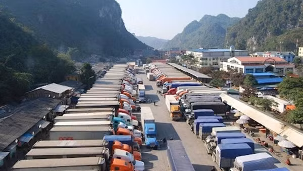 1.000 tấn mít được chế biến, tham gia xúc tiến tại Australia ảnh 2