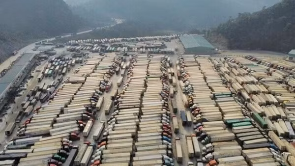 Kêu gọi các hãng tàu chung tay “giải cứu” ách tắc nông sản