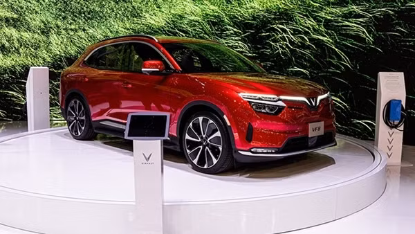 Chờ đón màn “chào sân” của 100 ô tô điện VinFast chinh phục địa đầu Tổ quốc ảnh 3