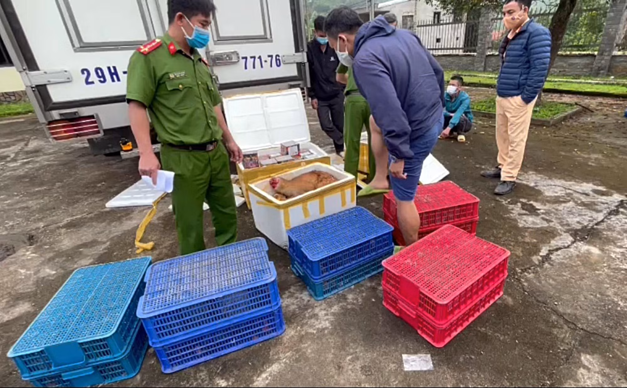 Bắt 2 vụ vận chuyển pháo nổ và động vật hoang dã quy mô lớn -0