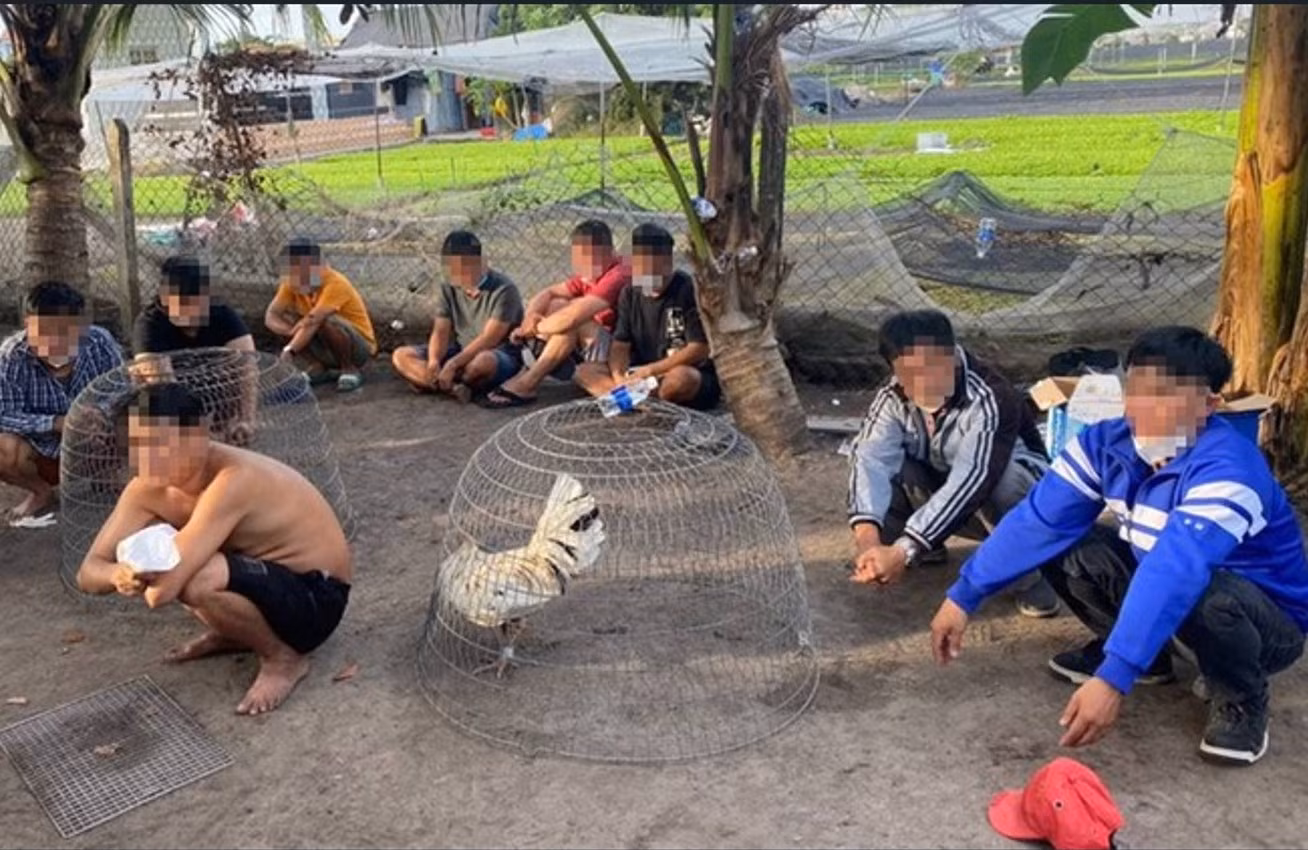 Test nhanh COVID-19 đối với các con bạc tham gia trong sới gà ở huyện Hóc Môn -0