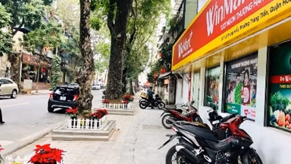 Xử phạt hàng chục trường hợp đào hè phố trái phép, lấn chiếm vỉa hè ảnh 2