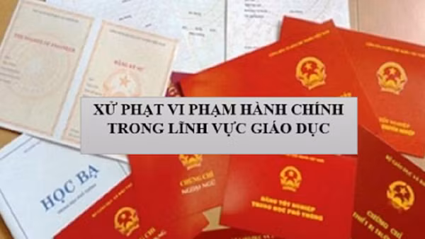 Nâng cao hiệu quả quản lý nhà nước về xử lý vi phạm hành chính ảnh 3