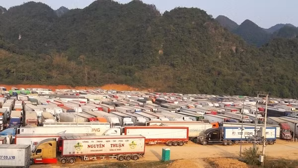 Quảng Ninh tạm dừng nhận xe chở quả tươi, thủy sản đông lạnh đến cửa khẩu, lối mở ảnh 2