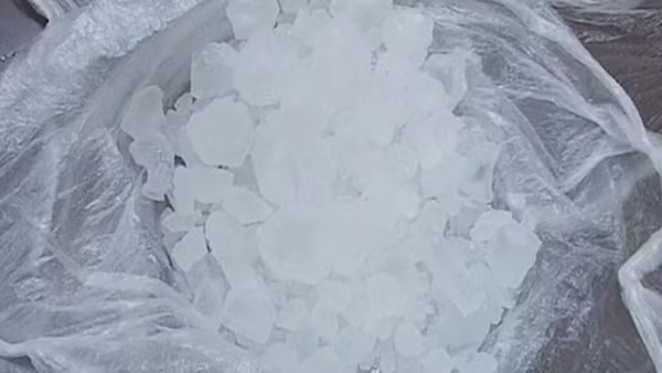 Xin lại gà đá không được, bắn Phó trưởng Công an phường trọng thương ảnh 3