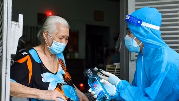 Hà Nội tổ chức 78 chợ hoa xuân ảnh 3