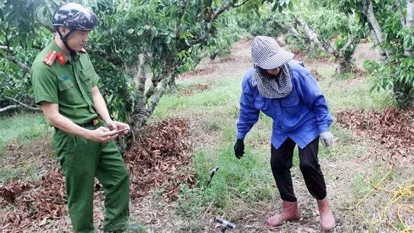 Cơn sốt săn giun đất và hiểm họa huỷ hoại môi trường