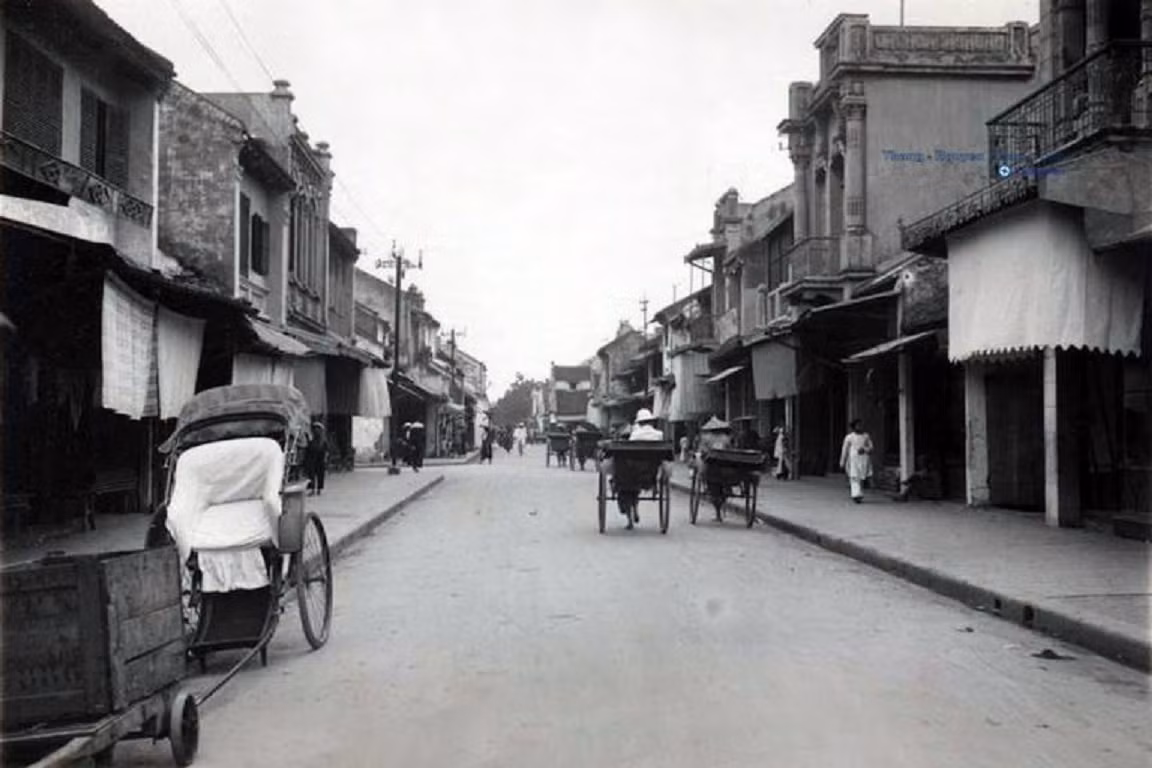 Cây bàng lá đỏ chợ xưa -1