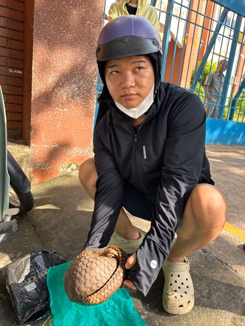 Bị khởi tố vì mua bán 1 con tê tê -0