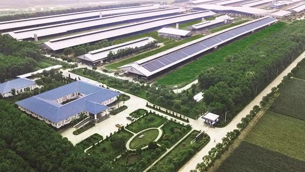 Để có các mô hình “Trang trại sinh thái”, “Trung hòa carbon”, Vinamilk đã làm gì?