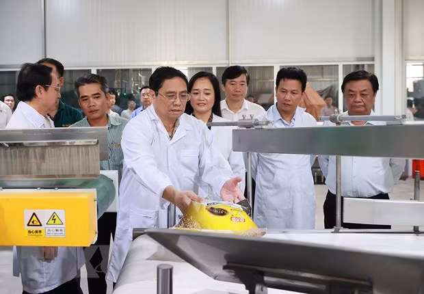 Thủ tướng Phạm Minh Chính thăm và làm việc tại tỉnh Đồng Tháp -0