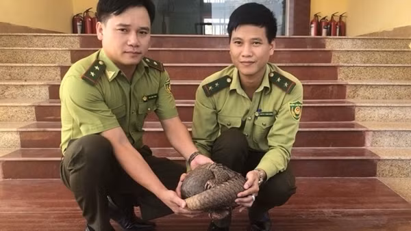 Bất ngờ nhận được thùng hàng có chứa động vật quý hiếm