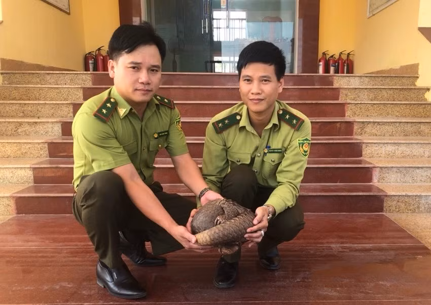 Bất ngờ nhận được thùng hàng có chứa động vật quý hiếm -0