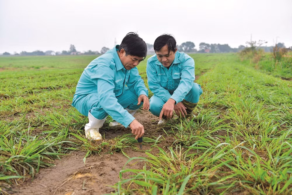 Để có các mô hình “Trang trại sinh thái”, “Trung hòa carbon”, Vinamilk đã làm gì?_SODACBIET19-8_T37 -0