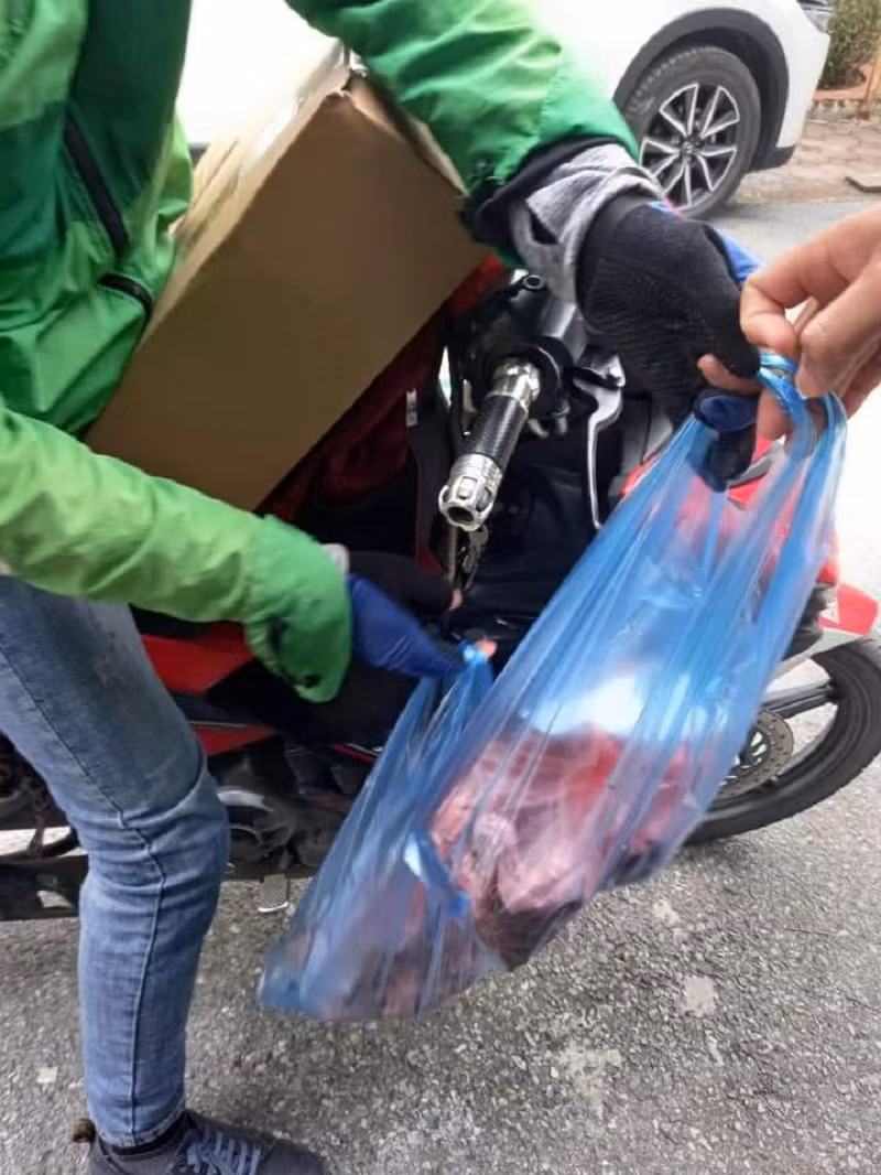Nhức nhối hoạt động buôn bán động vật hoang dã -0