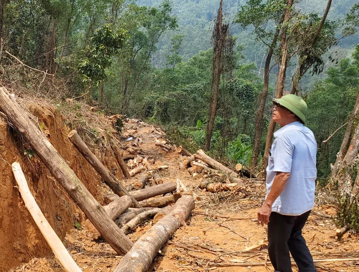 Nhiều hộ dân tự ý chuyển đổi đất rừng trồng để xây dựng công trình trái phép -0