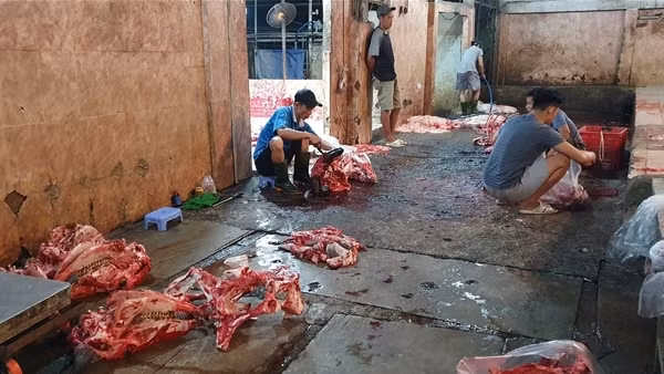 Yêu cầu luộc chín gia cầm, tiêu huỷ thịt gia súc ở lò mổ không phép