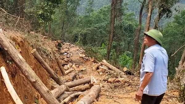 Nhiều hộ dân tự ý chuyển đổi đất rừng trồng để xây dựng công trình trái phép