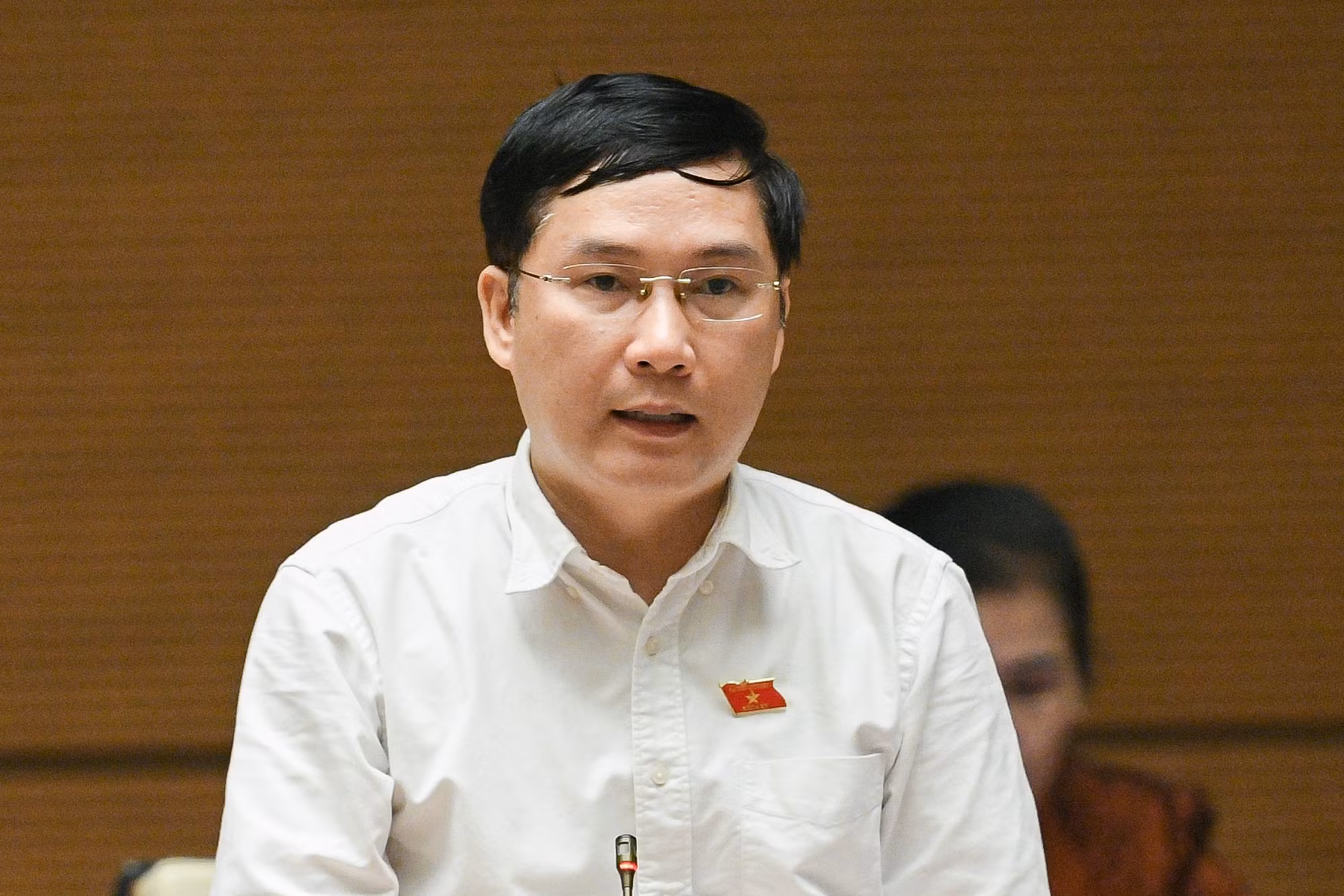 ĐBQH Lê Hoàng Anh.