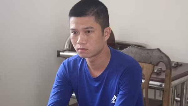 Đặt làm giả sổ đỏ, đăng ký xe ô tô rồi đem đi cầm cố
